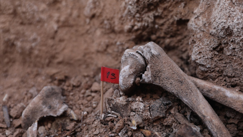 Imagen de archivo de varios huesos encontrados durante la excavación de una fosa de la guerra civil en el cementerio de Belchite.