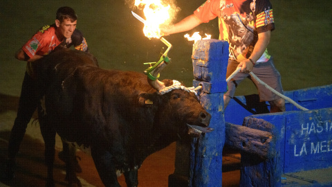 Un bou ja embolat a punt que li tallin la corda a la plaça de l'Ampolla Un bou ja embolat a punt que li tallin la corda a la plaça de l'Ampolla