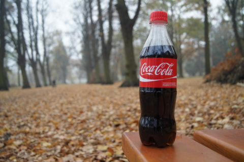 coca_cola_the_drink_drinking_sugar_park_bench-837628.jpg