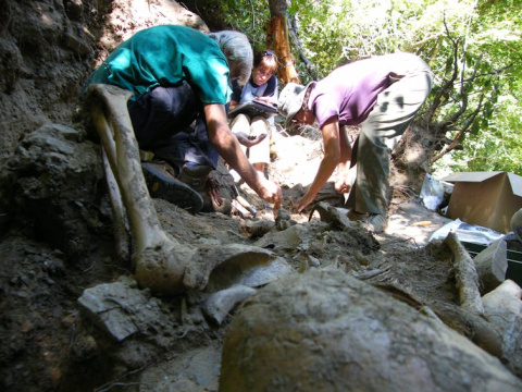 Exhumación de un fosa de represaliados de la guerra civil española. Archivo fotográfico Foro Cultural Provincia de El Bierzo
Exhumación de un fosa de represaliados de la guerra civil española. Archivo fotográfico Foro Cultural Provincia de El Bierzo