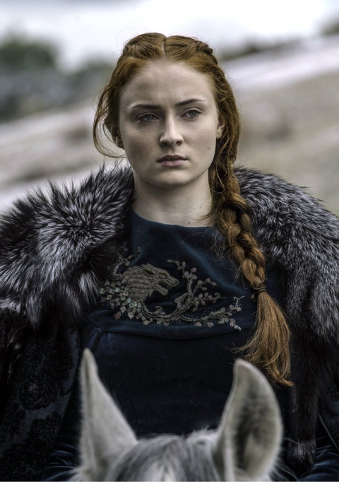 Samsa Stark. Samsa Stark.