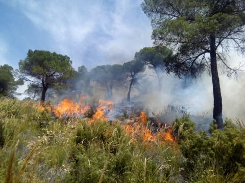 Quemas prescritas. Daniel Moya, Author provided