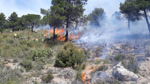Quema prescrita y operarios del servicio de extinción de incendios forestales y de la empresa de gestión ambiental de Castilla-La Mancha y personal de la UCLM. Daniel Moya, Author provided