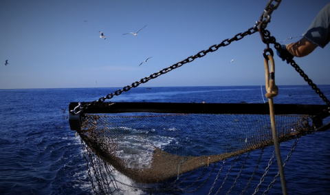Arte de marisqueo de la pesquería del estudio, el Rastell de Cadenes. Elena Marco-Herrero, Author provided Arte de marisqueo de la pesquería del estudio, el Rastell de Cadenes. Elena Marco-Herrero, Author provided