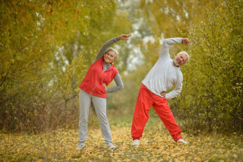 La longevidad parece estar relacionada con la actividad en la vida adulta. Ruslan Guzov/Shutterstock.com La longevidad parece estar relacionada con la actividad en la vida adulta. Ruslan Guzov/Shutterstock.com