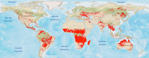 Área quemada en el mundo durante 2018 según el satélite MODIS de la NASA. El 70 % de los incendios se dan en la sabana africana, rodeando al bosque tropical de la cuenca del Congo.  Sistema EOS (LANCE) del Sistema de Información y Datos de Ciencias de
