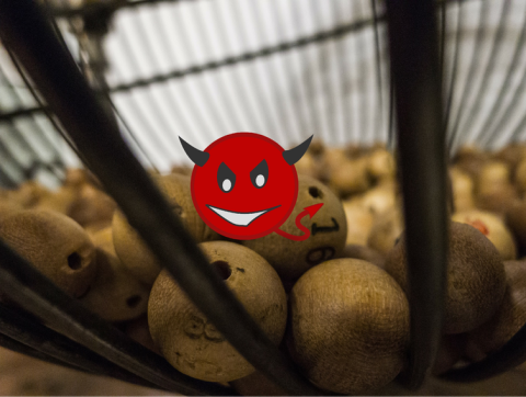 Carabo Spain / OpenClipart-Vectors / Pixabay