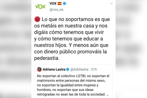 Este tuit ha causado el bloqueo de algunas de las funcionalidades de la cuenta oficial de Vox. / Twitter