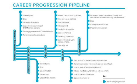 
Tuberia de la la progresión de la carrera profesional. Women in STEM decadal plan