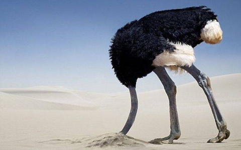 La política ambiental en los 30 últimos años La política ambiental en los 30 últimos años