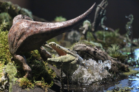 Reconstrucción de un cocodrilo cazando una cría de dinosaurio. Dinópolis, Author provided