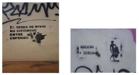 Ejemplos de graffiti proderechos de los animales. Carmen Aguilera-Carnerero, Author provided