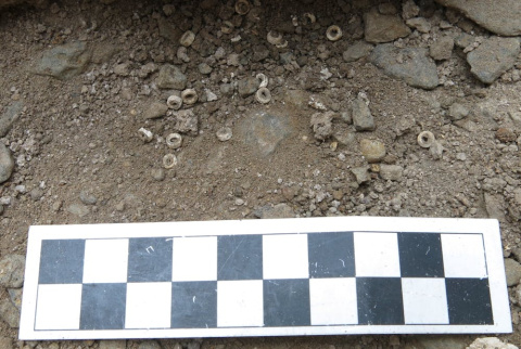 
Cuentas de cáscara de huevo de avestruz en su emplazamiento arqueológico. Elizabeth Sawchuk 