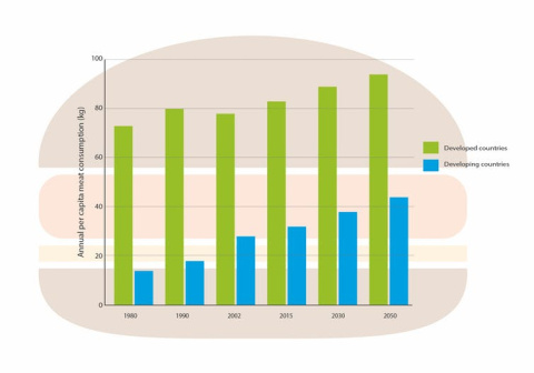Consumo anual de carne en países desarrollados (verde) y en vías de desarrollo (azul) entre 1980 y 2050 (proyección). Se estima que la población mundial alcance los 10.000 millones en el 2050. JRC-WAD3, Reynolds, J. based on Thornton 2010/Joint Resea Consumo anual de carne en países desarrollados (verde) y en vías de desarrollo (azul) entre 1980 y 2050 (proyección). Se estima que la población mundial alcance los 10.000 millones en el 2050. JRC-WAD3, Reynolds, J. based on Thornton 2010/Joint Resear