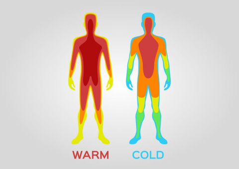 Imagen de la diferencia frío/calor en el cuerpo humano
