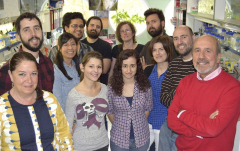 
Mariano Esteban y su equipo del Esteban Lab (CNB, CSIC) Author provided
