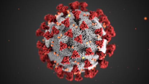  Morfología estructural de los coronavirus / CDC / Alissa Eckert, MSMI; Dan Higgins, MAMS