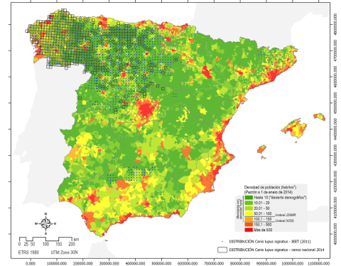 Cuando se superpone el mapa de la llamada España Vaciada con los censos del lobo, se observa que la presencia del cánido nada tiene que ver con el abandono del medio: provincias con grandes problemas de despoblación como Teruel, Soria o Cuenca no tien Cuando se superpone el mapa de la llamada España Vaciada con los censos del lobo, se observa que la presencia del cánido nada tiene que ver con el abandono del medio: provincias con grandes problemas de despoblación como Teruel, Soria o Cuenca no tiene