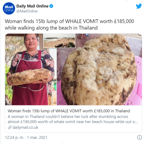 Daily Mail lanzó la noticia: «Mientras caminaba por una playa, una mujer encuentra una masa de 15 libras de vómito de cachalote valorada en 185 000 £».