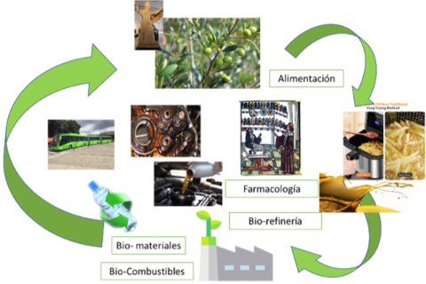 Las otras vidas del aceite. Miguel Carmona, Author provided Las otras vidas del aceite. Miguel Carmona, Author provided