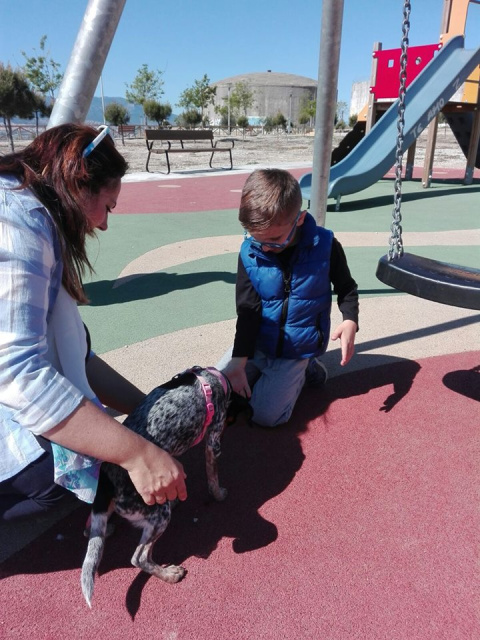 pososanarquia_patasarriba