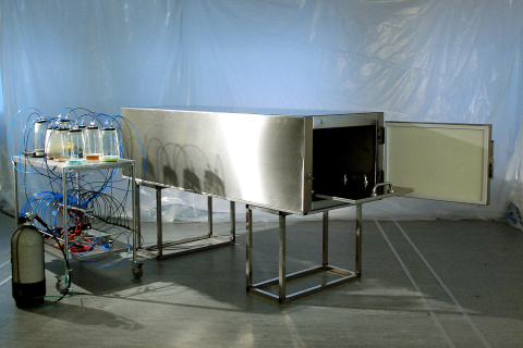 PososAnarquia_MuerteFamosos_2