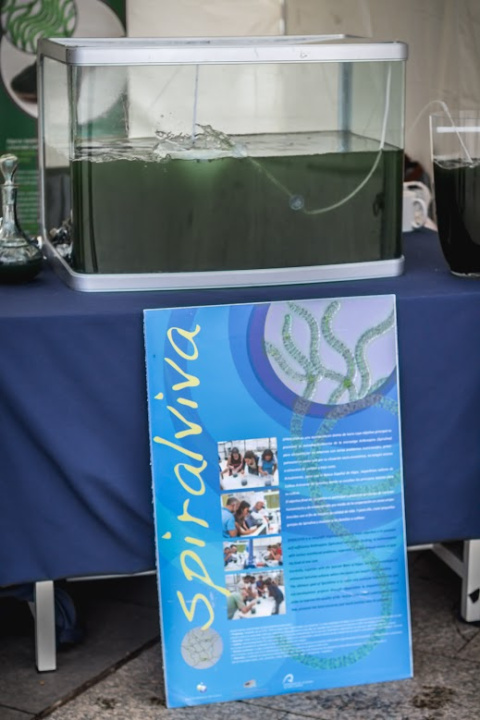 PososdeAnarquia_Spirulina_1