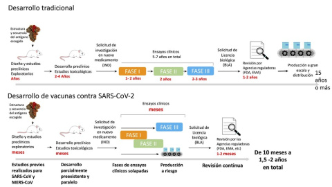 Esquema del proceso de desarrollo de vacunas anteriores y posteriores a la pandemia por COVID-19. Adaptado y traducido de Krammer (Nature, 2020) por Mercedes Jiménez. Krammer, Nature, 2020