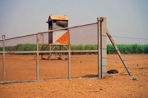 Juventud senegalesa