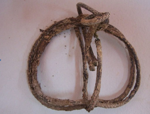 Cuerda para atar a los presos