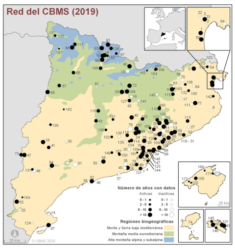 Red del butterfly monitoring scheme de Cataluña. Ferran Páramo, Author provided Red del butterfly monitoring scheme de Cataluña. Ferran Páramo, Author provided
