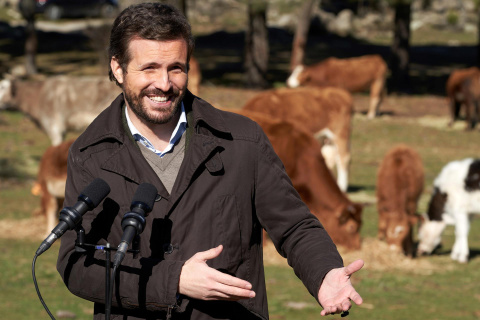 El presidente del Partido Popular, Pablo Casado, durante la visita que ha realizado hoy a una explotación ganadera de extensivo en Las Navas del Marqués (Ávila).- EFE / Raúl Sanchidrián El presidente del Partido Popular, Pablo Casado, durante la visita que ha realizado hoy a una explotación ganadera de extensivo en Las Navas del Marqués (Ávila).- EFE / Raúl Sanchidrián
