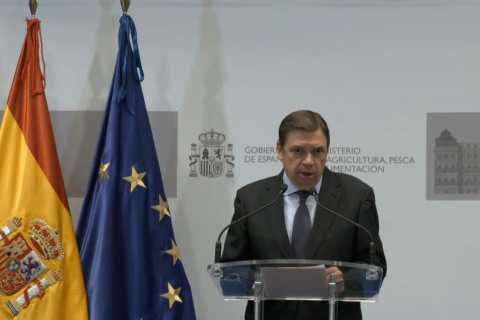  El ministro de Agricultura, Pesca y Alimentación, Luis Planas.- Ministerio de Agricultura