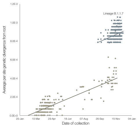 Fuente: https://virological.org/t/preliminary-genomic-characterisation-of-an-emergent-sars-cov-2-lineage-in-the-uk-defined-by-a-novel-set-of-spike-mutations/563 Fuente: https://virological.org/t/preliminary-genomic-characterisation-of-an-emergent-sars-cov-2-lineage-in-the-uk-defined-by-a-novel-set-of-spike-mutations/563