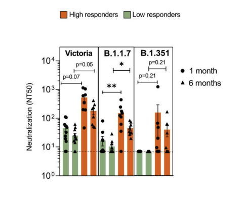  Fuente: https://assets.researchsquare.com/files/rs-612205/v1_covered.pdf