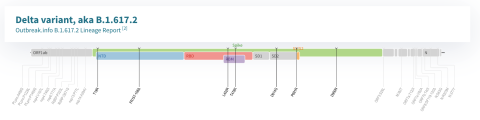  Fuente: https://covdb.stanford.edu/page/mutation-viewer/#sec_delta