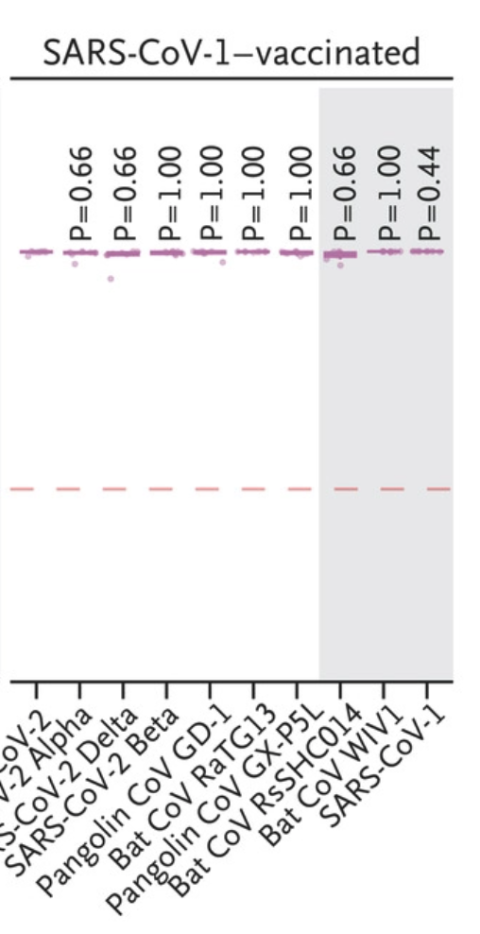 Captura-de-pantalla-2021-08-23-a-las-20.50.43.png