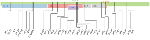 Fuente: Universidad de Stanford Fuente: Universidad de Stanford