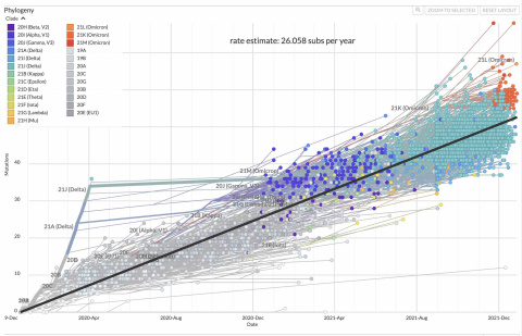 Fuente: Nextstrain.org Fuente: Nextstrain.org