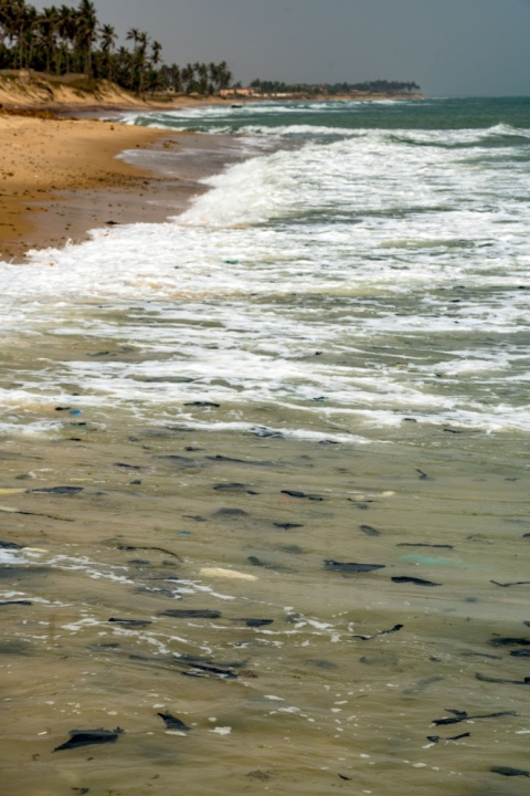  Playa de Pram Pram, Ghana. Foto de Edu Domínguez.