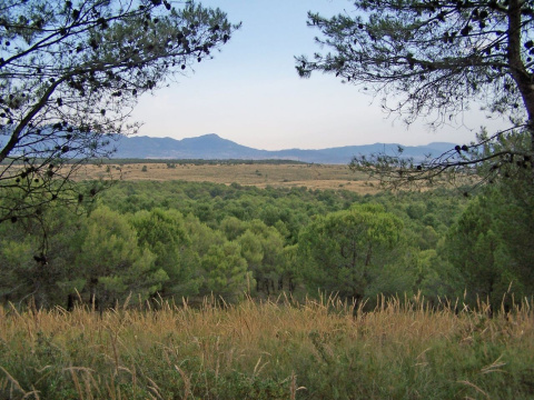 Vista panorámica del Llano de Matagallar de Coín (Málaga) - FRANCISCO JOSÉ ENRÍQUEZ LLAGAS. Vista panorámica del Llano de Matagallar de Coín (Málaga) - FRANCISCO JOSÉ ENRÍQUEZ LLAGAS.
