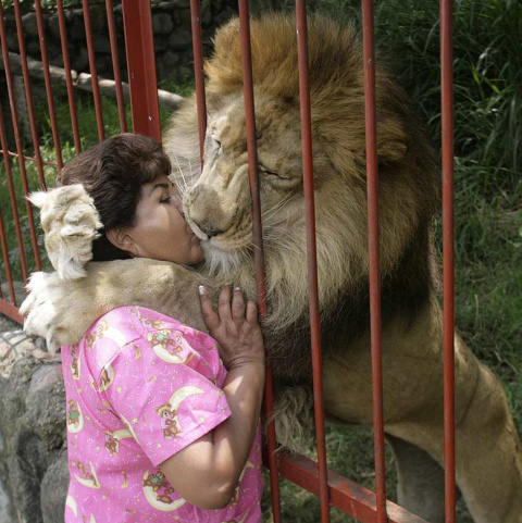 EFE/ JAIME SALDARRIAGA