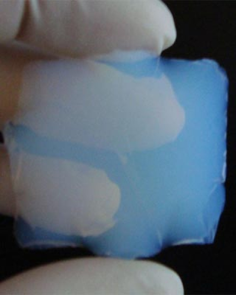 aerogel.jpg aerogel