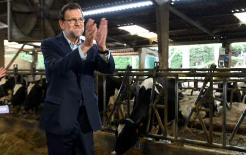 rajoy en la granja