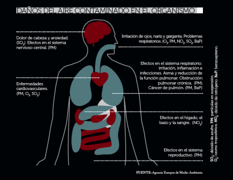 Imagen-1.png Imagen 1