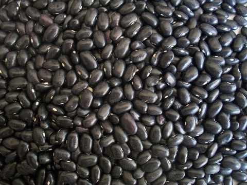 Frijoles negros. Pixabay. Frijoles negros.