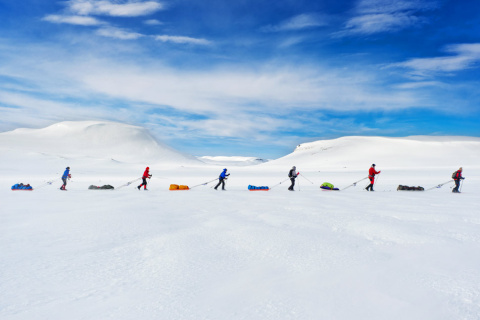 Expedition-Amundsen.jpg