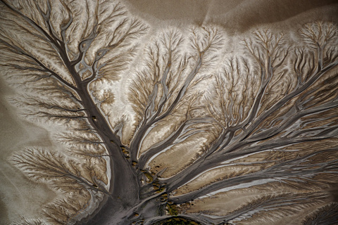 Natures-Art.jpg