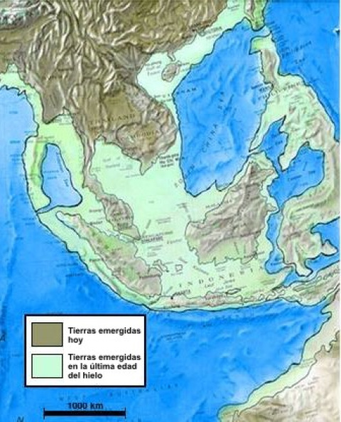 Sondalandia hoy y durante la última edad del hielo. (Clic para ampliar)