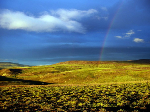 La tundra de Chukotka en la actualidad (verano). El interior de Beringia podía ser un poco más árido, pero bastante parecido. (Clic para ampliar)